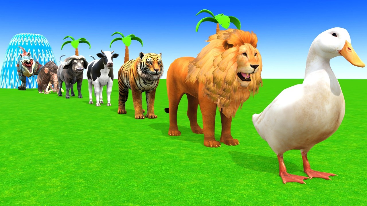 Long Slide Game With Cow Elephant Gorilla Hippopotamus Tiger 3d Animal Game Funny 3d AnimalsVideo