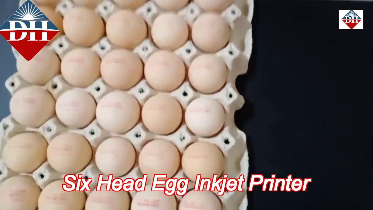 six nozzle automatic egg spray coding machine printing