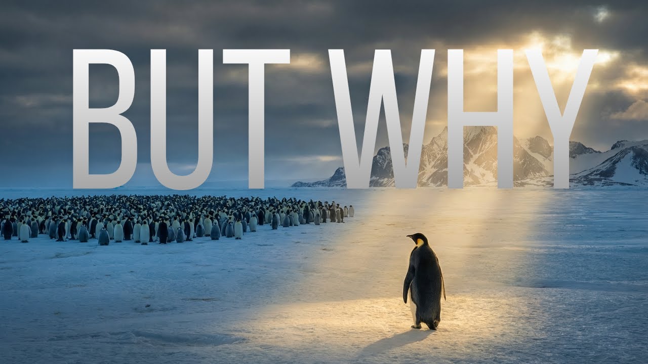 Nihilist Penguin -- He Walked Away From Everything… But Why?