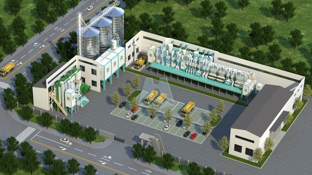 100T/D Rice Processing Plant Layout - Co-Grain Rice Mill #ricemillsupplier #ricemillingequipment