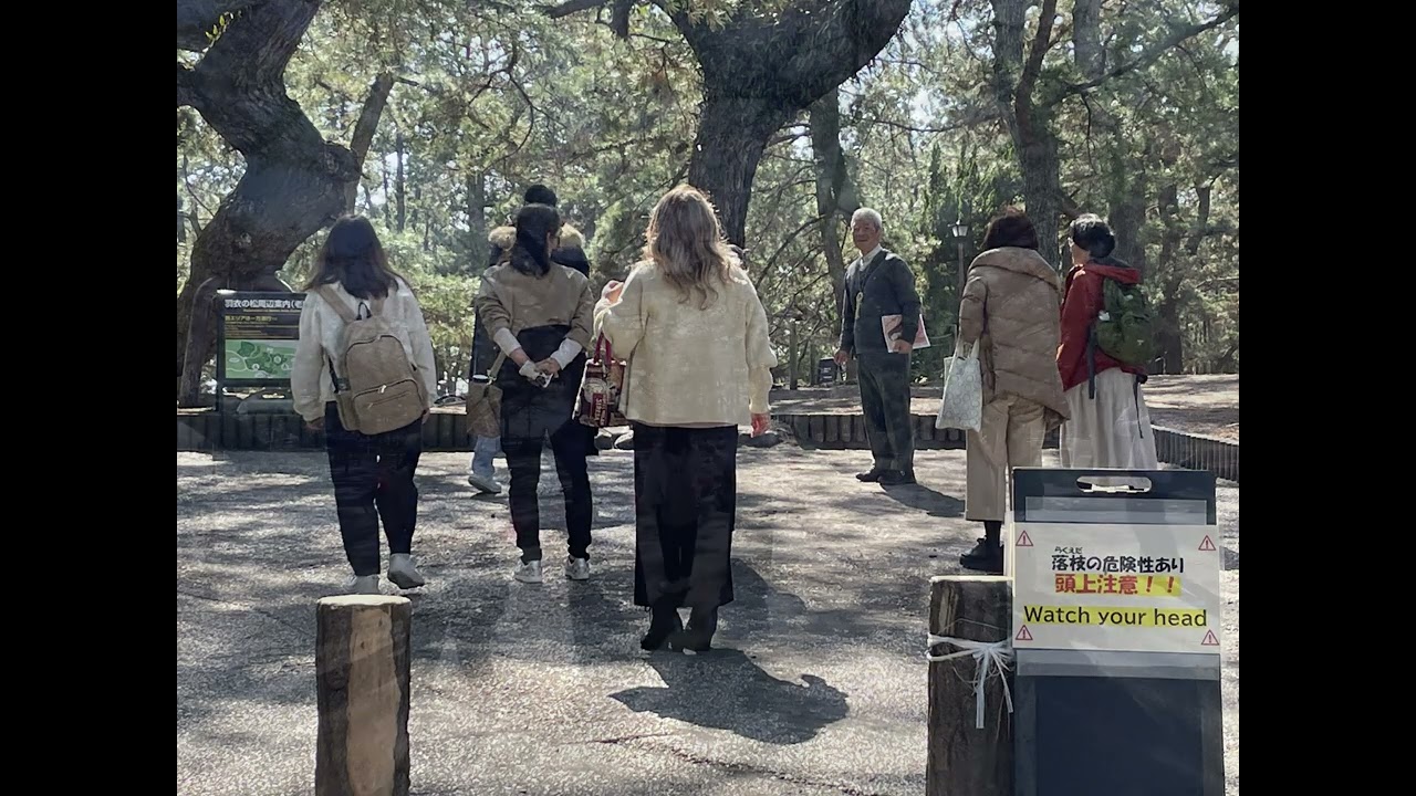 御穂神社リトリート