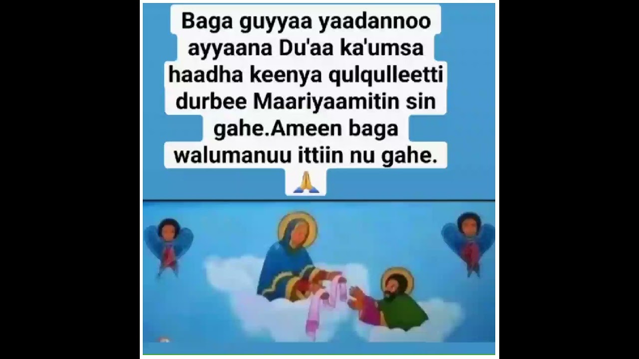 Ol baaterti Dubroo Maariyaamii