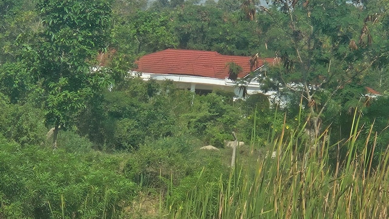 Our ongoing home project 