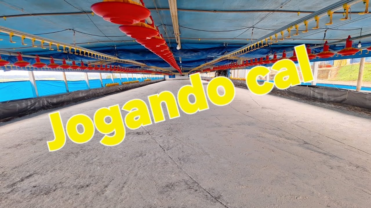 Preparando o aviário para o próximo lote