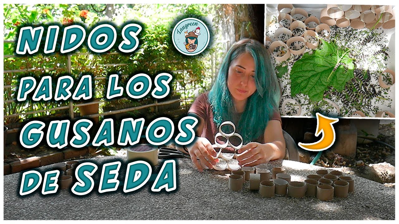 Nidos para Gusanos de Seda muy Fácil de Hacer 😮
