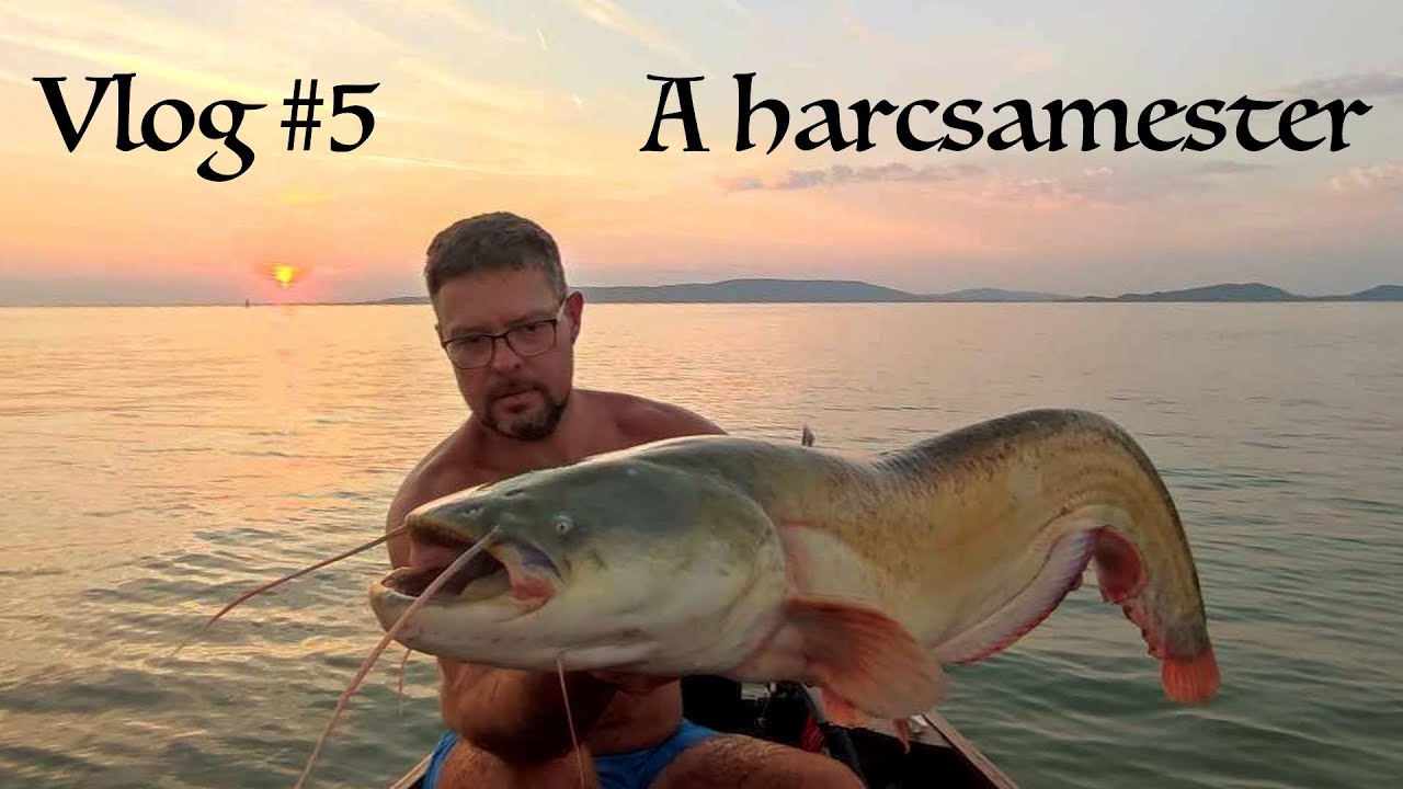 A harcsamester - Vlog #5