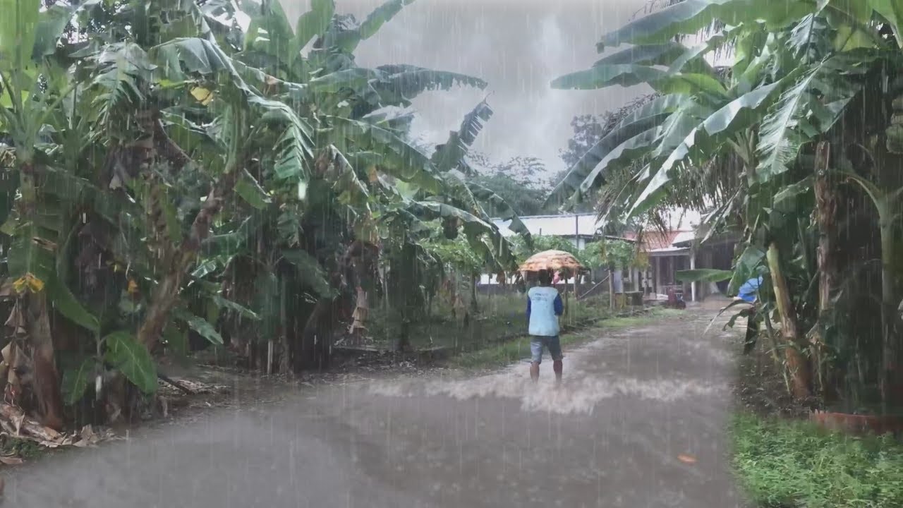 Heavy Rain and Thunderstorms When Dusk Arrives in the Village | Walk in a Thunderstorm in Rural ID