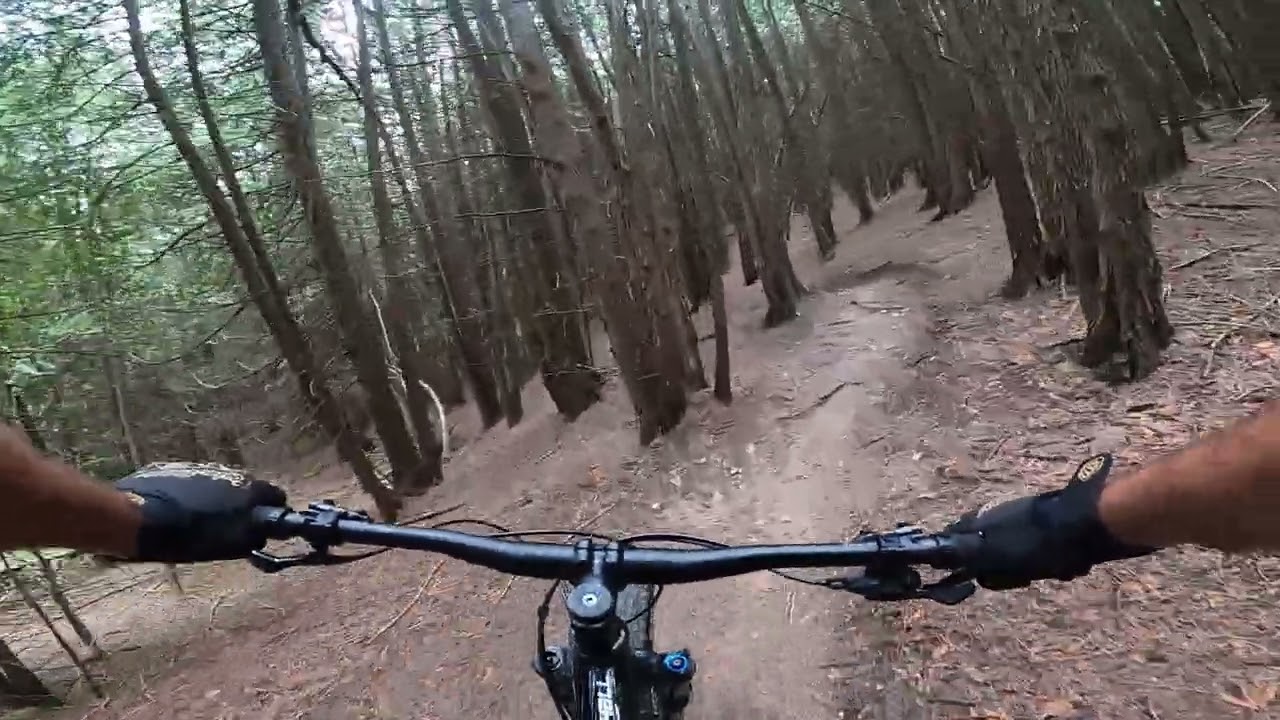Busy Livin - Carrick Tract Trail System