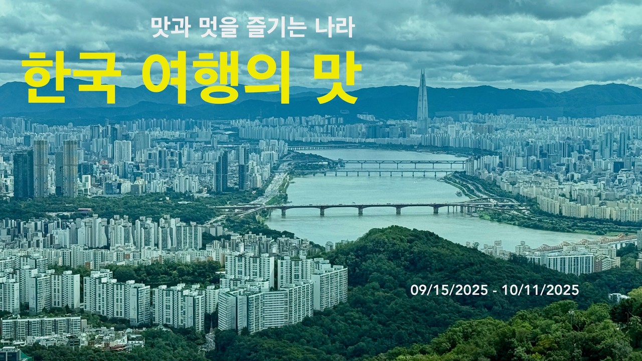한국 여행의 맛! 한국 방문이 더욱 즐거운 건 그리운 사람들과 함께 내 입맛에 딱맞는 먹거리들이 여기저기 넘쳐난다는 것! 서울 순천 완도 구경하며 눈도 입도 즐거웠던 나날들~
