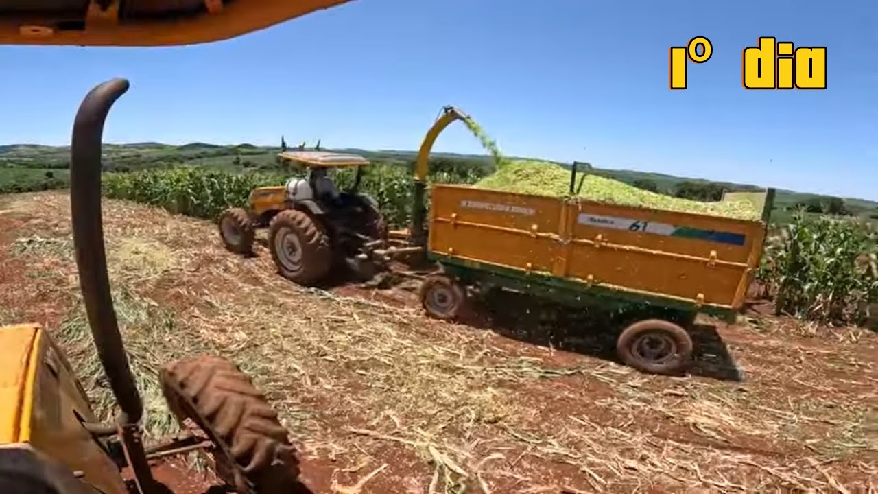 COMEÇAMO FAZE SILAGEM ! Safra 2025