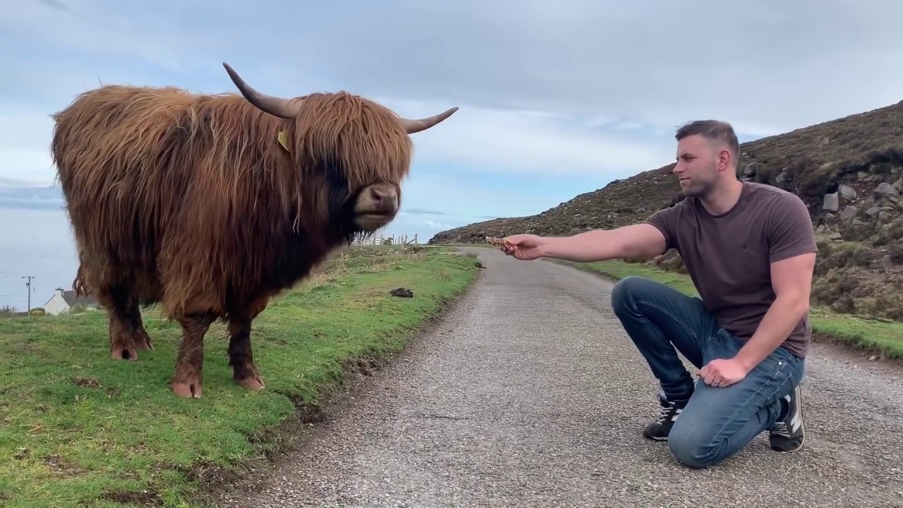 NORTH SCOTLAND VLOG - PHIL & NIKO MEET THE WILDLIFE