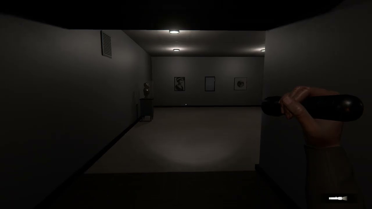 What Anomaly?