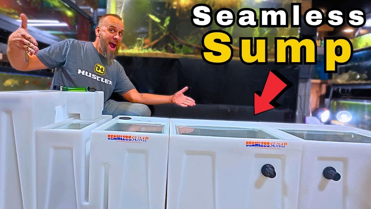 Is This the Perfect Aquarium Filter?