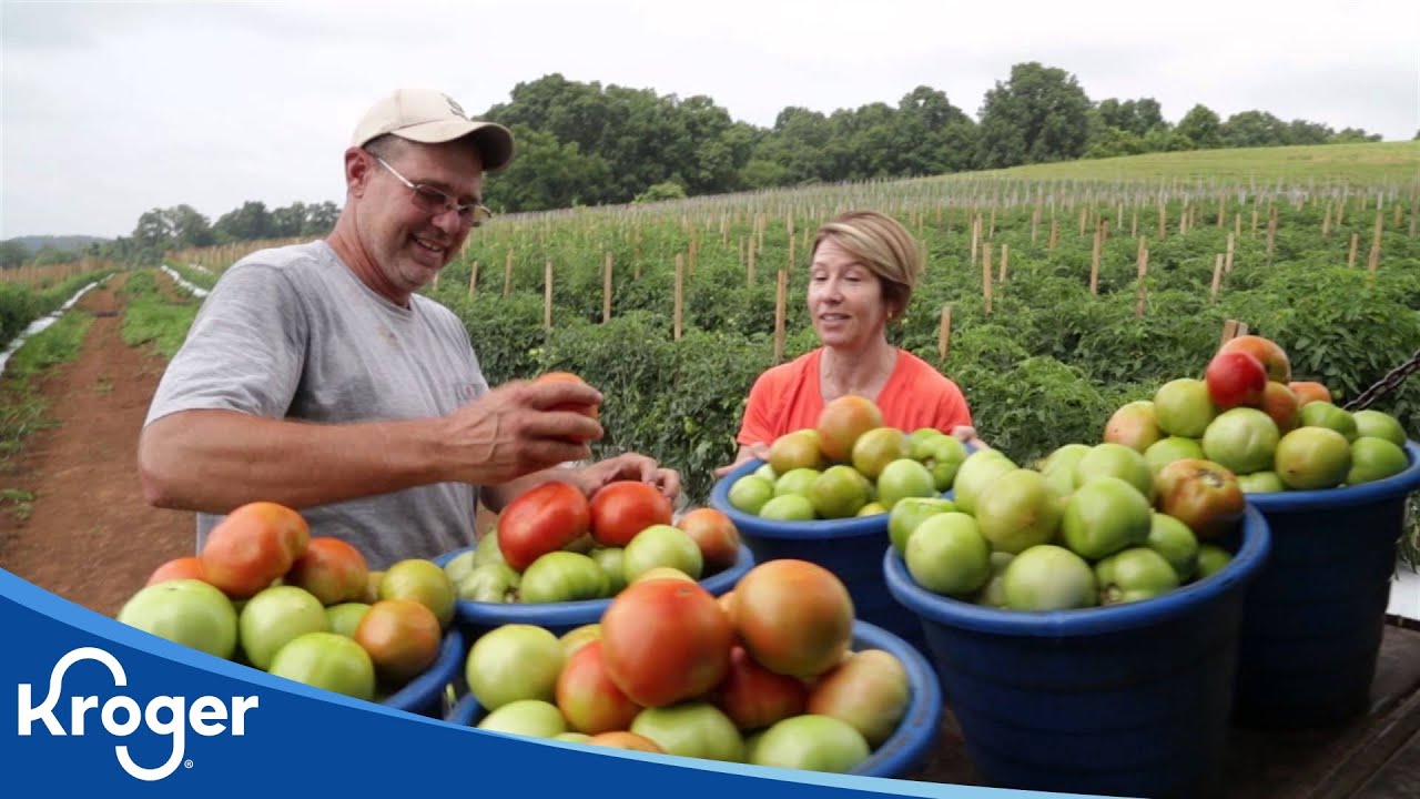 Turley's Tomatoes | Kroger Partners | Kroger