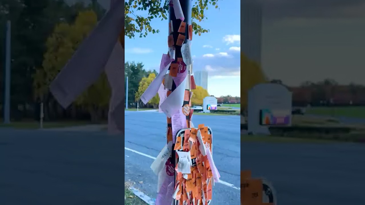 Данкин Полюс
