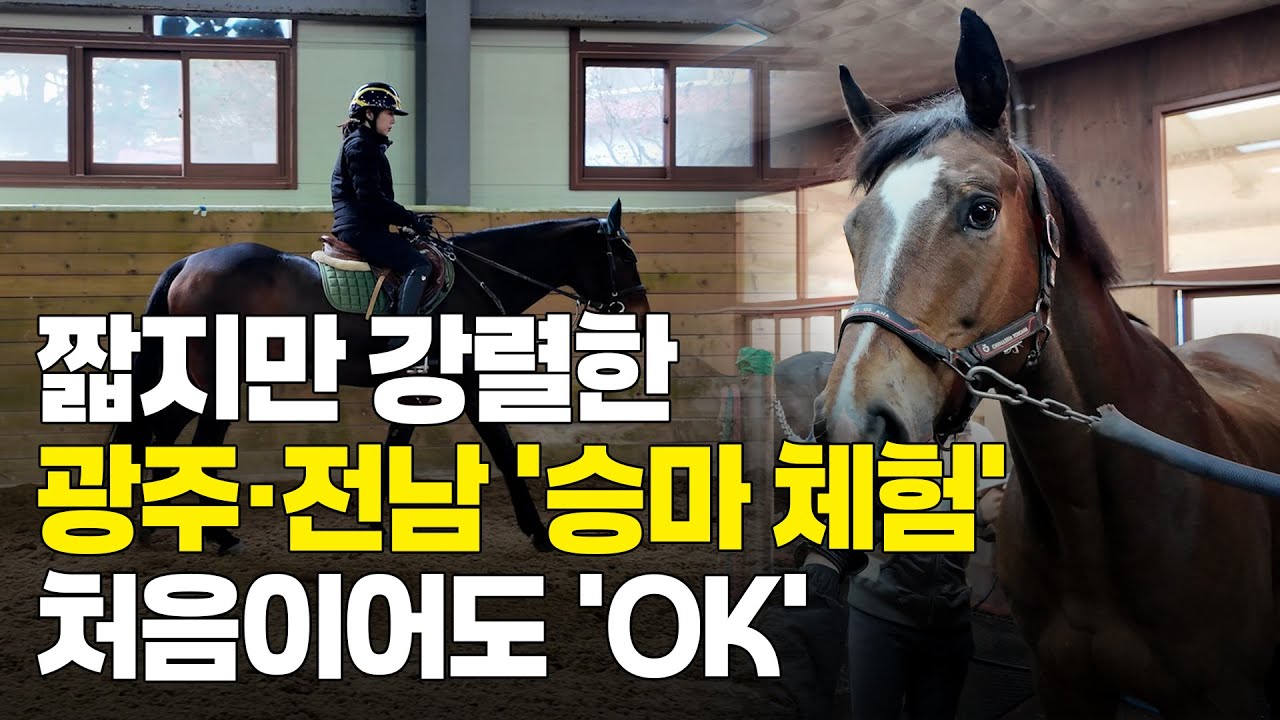 짧지만 강렬한 경험 광주·전남 '승마 체험' 처음이어도 'OK'