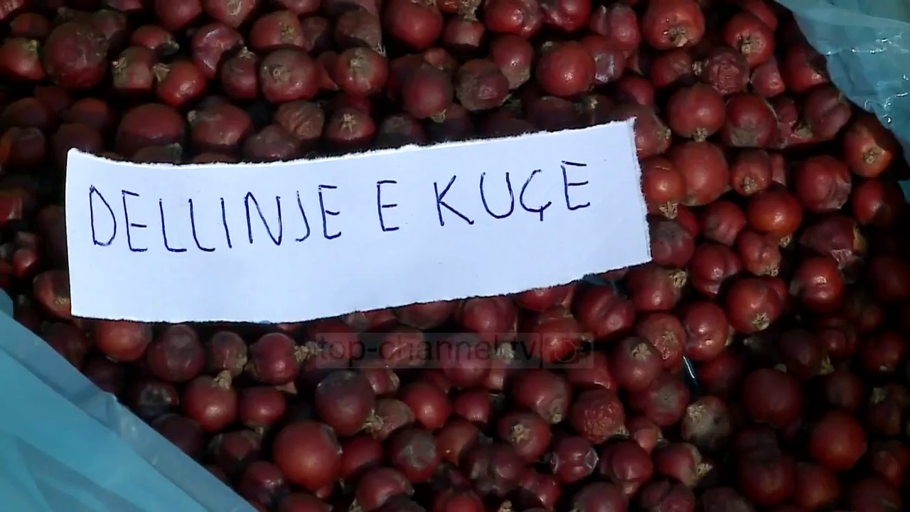 Të mjekohesh me bimë. Mjeku alternativ: Zgjidhja është te natyra - Top Channel - News - Lajme
