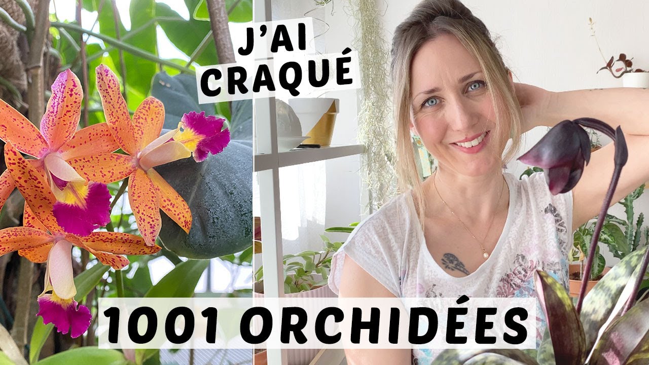 1001 ORCHIDEES 2020 : MA VISITE ET MON HAUL PLANTES !