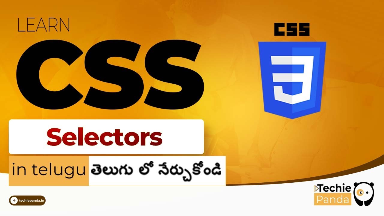 CSS Selectors in Telugu || Element, Class, ID, Attribute and Attribute Value Selector||Coding School