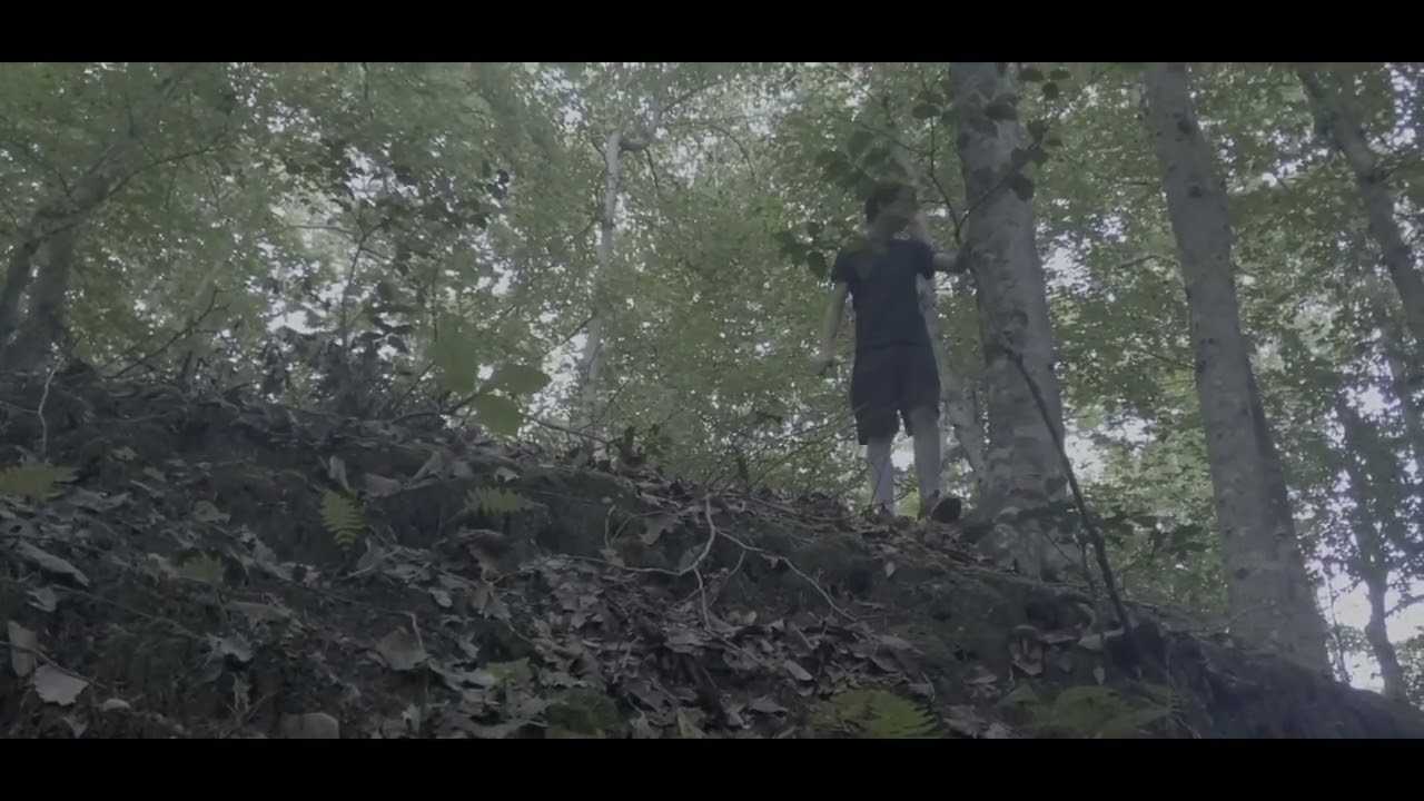 The hidden fortune (movie)