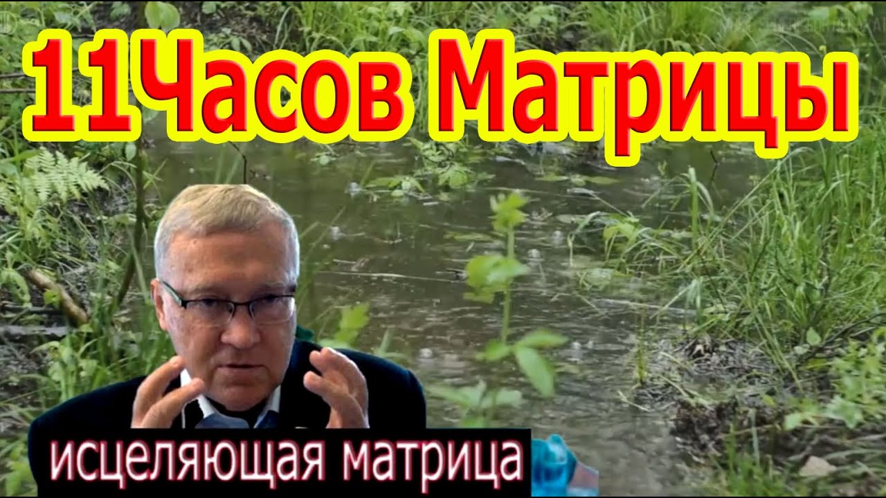 11Часов Матрицы Гаряева Полное Исцеление Всего Организма, Можно Слушать Вечно.