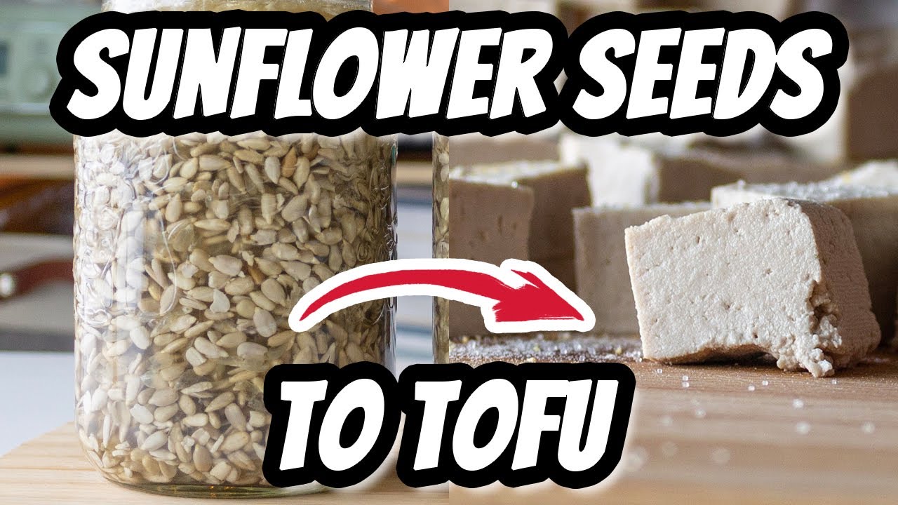 How to Make SUNFLOWER SEED TOFU! | Mary's Test Kitchen