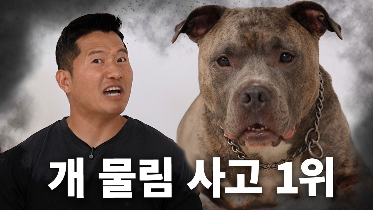 66%의 압도적 개물림 사고 지분율 | 견종백과 핏불 테리어편