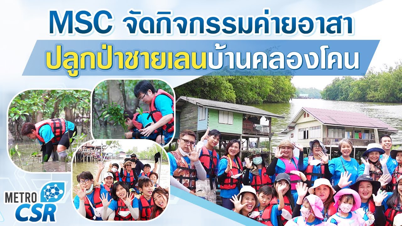 MSC จัดกิจกรรมอาสาปลูกป่าชายเลนบ้านคลองโคน 🌱 | CSR