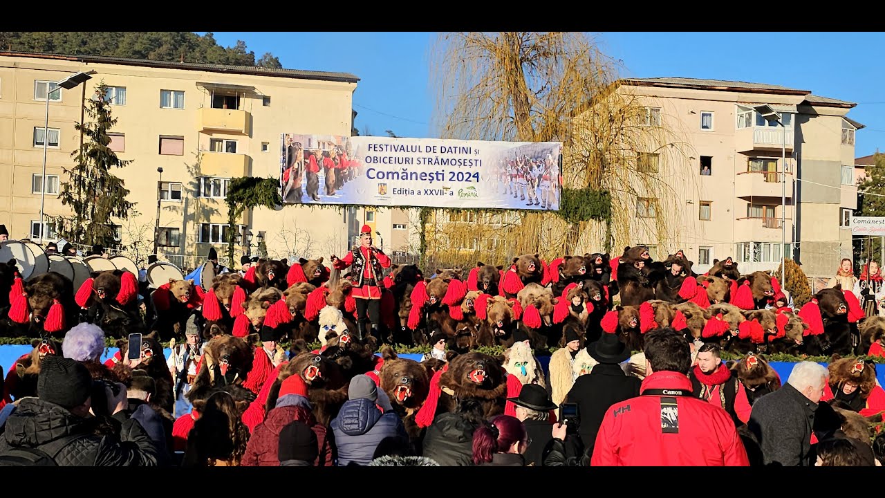 Ursul Din Sipoteni - Ceata Sipoteni -Festivalul De Datini Și Obiceiuri Strămoșești Comanesti 2024