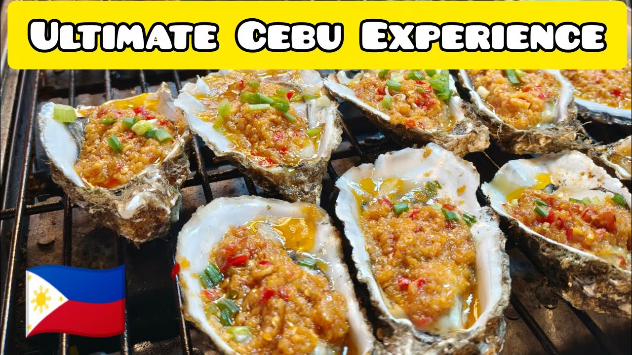 Ultimate Cebu DIY Travel | Self-Drive to Oslob, Whale Sharks, Kawasan Falls, 10,000 Roses (4K) #cebu