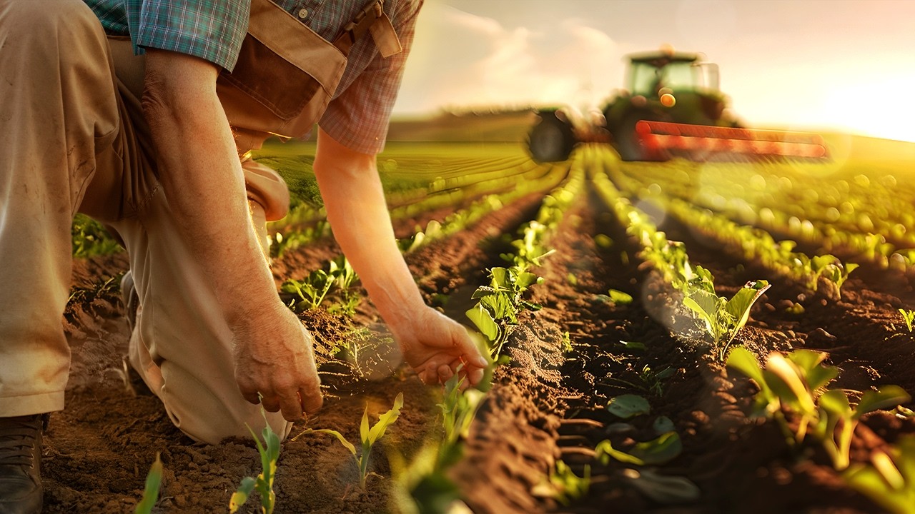 Agricultura Familiar e Agroindústria: Conceitos e Diferenças | Aprova Total