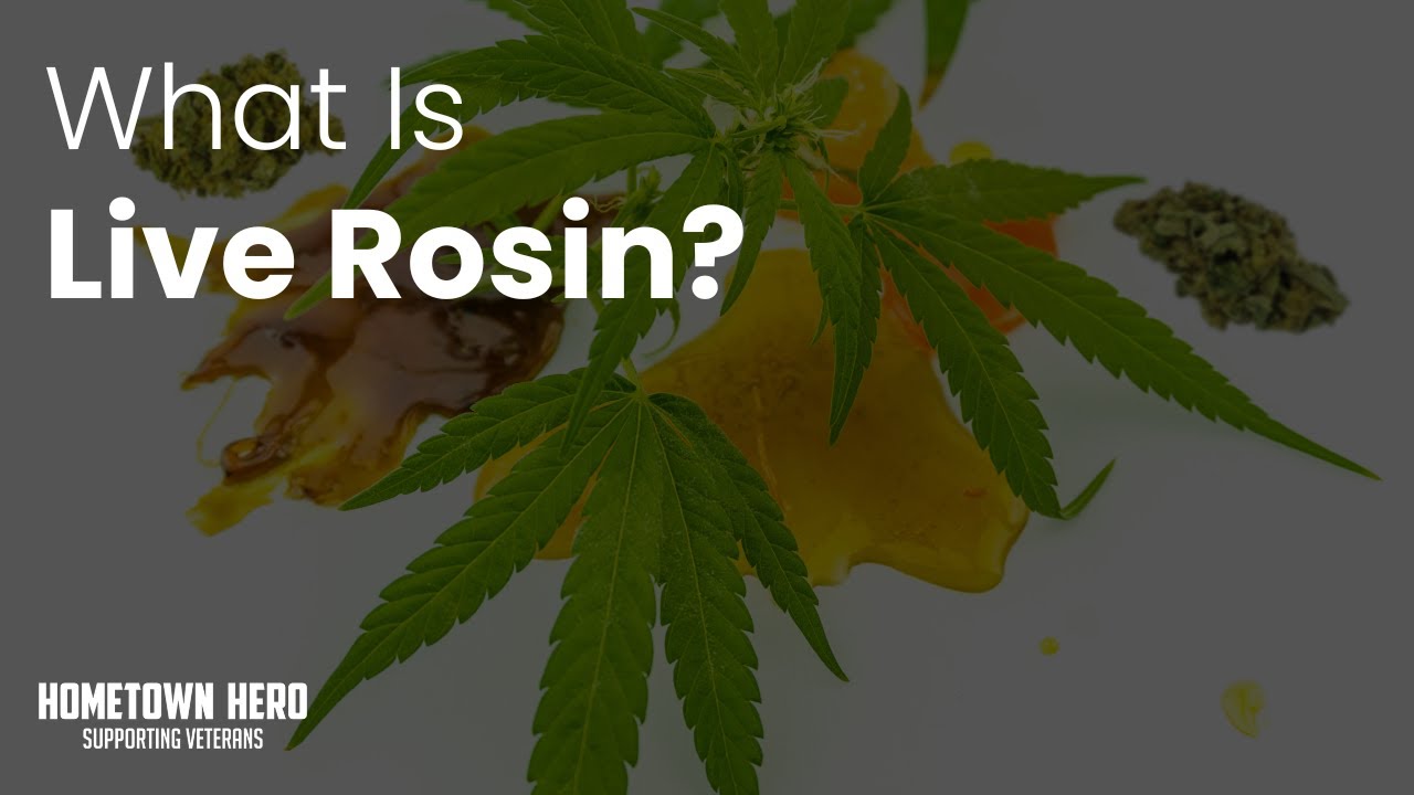 What Is Live Rosin?