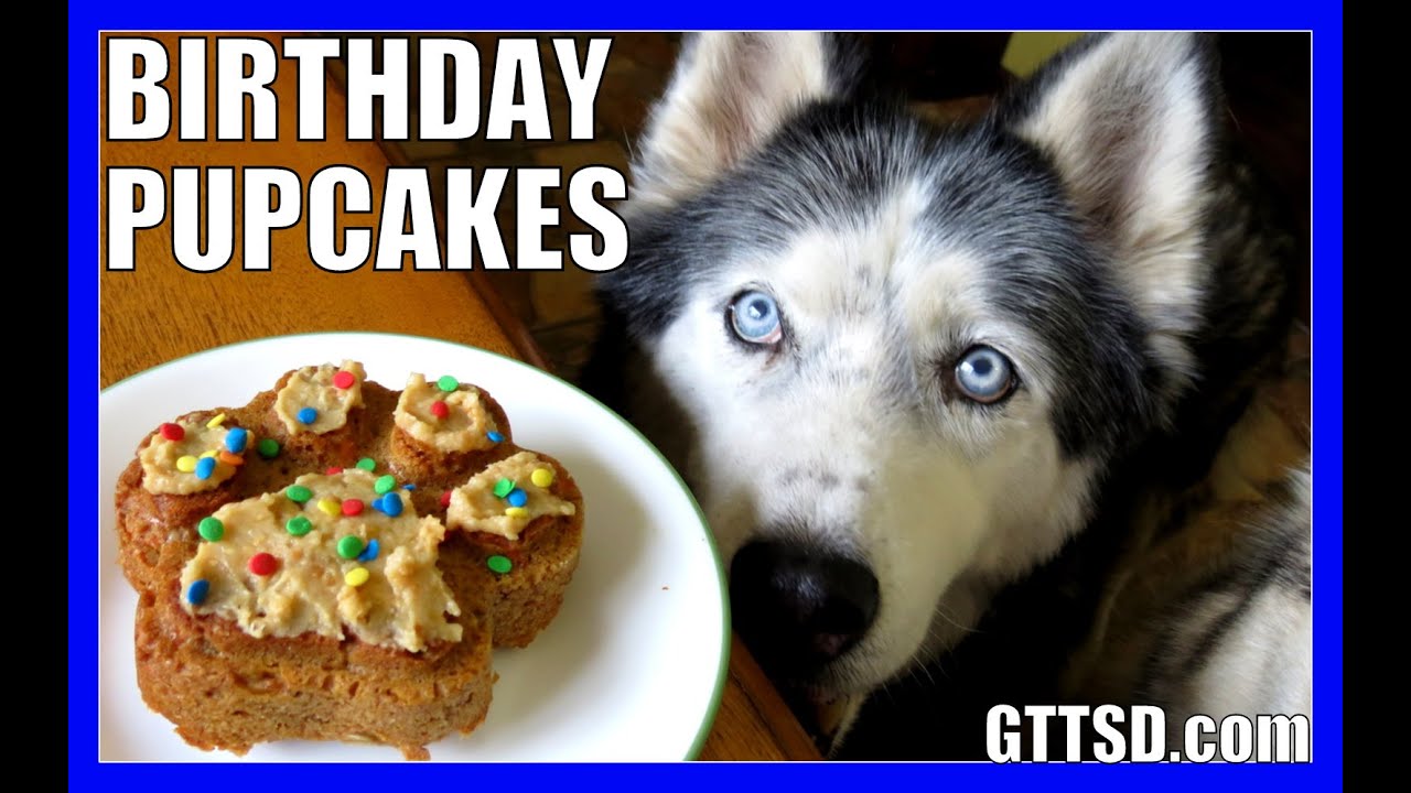 BIRTHDAY CUPCAKES for the DOG How to Dog Birthday Pupcakes Recipe DIY | Snacks with the Snow Dogs 33