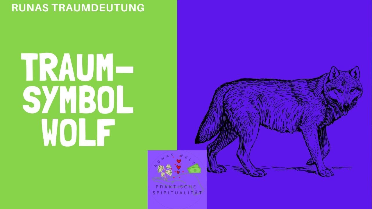 Traumsymbol Wolf. Bist du einem Wolf im Traum begegnet? Erfahre hier was das bedeutet.