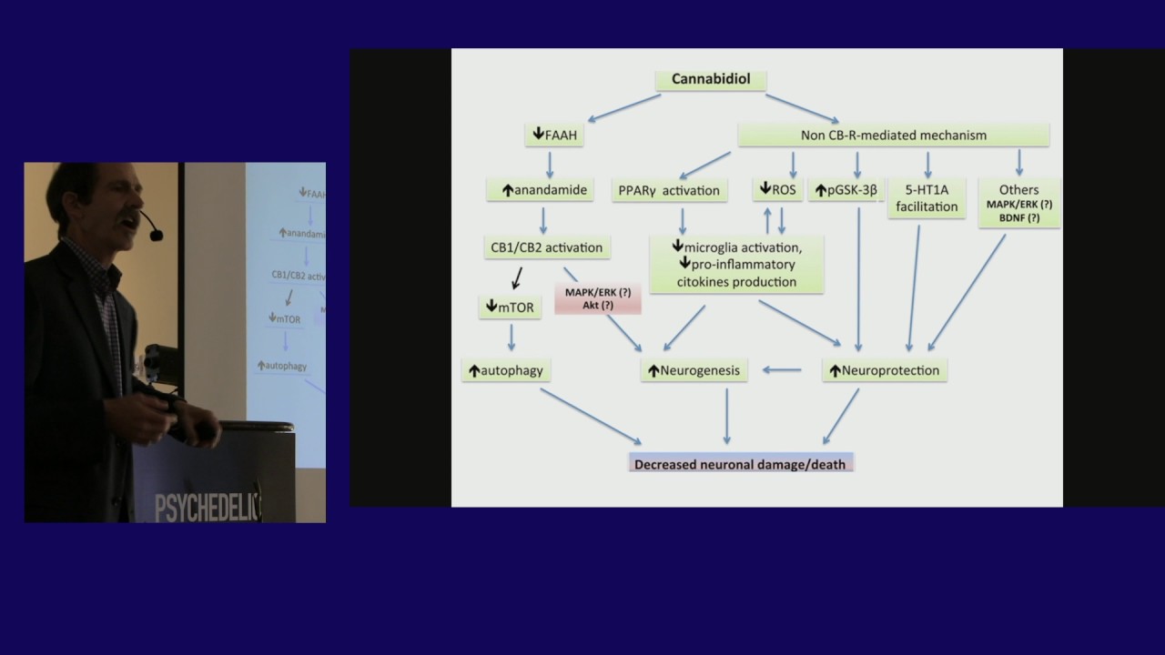 Scott Shannon: Cannabidiol in the Treatment of Anxiety - A Large Case Series