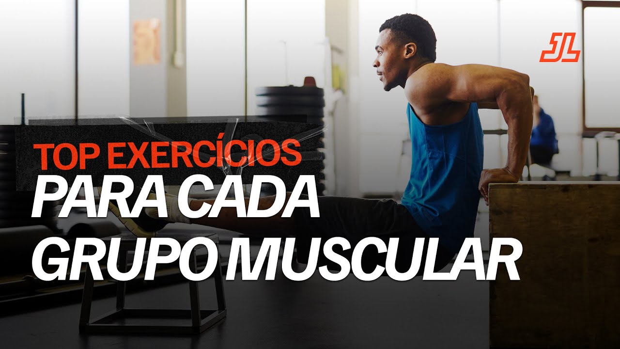 TOP EXERCÍCIOS PARA CADA GRUPO MUSCULAR #treino #academia #fitness