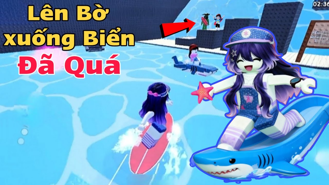 Lên Bờ Đi Bắt Cua Xuống Biển Lướt Ván Hình Cá Mập Đỉnh Quá