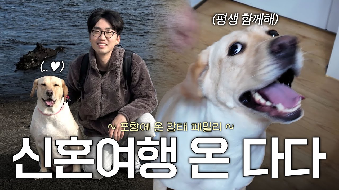 새해 맞이 신혼여행 온 다다가족