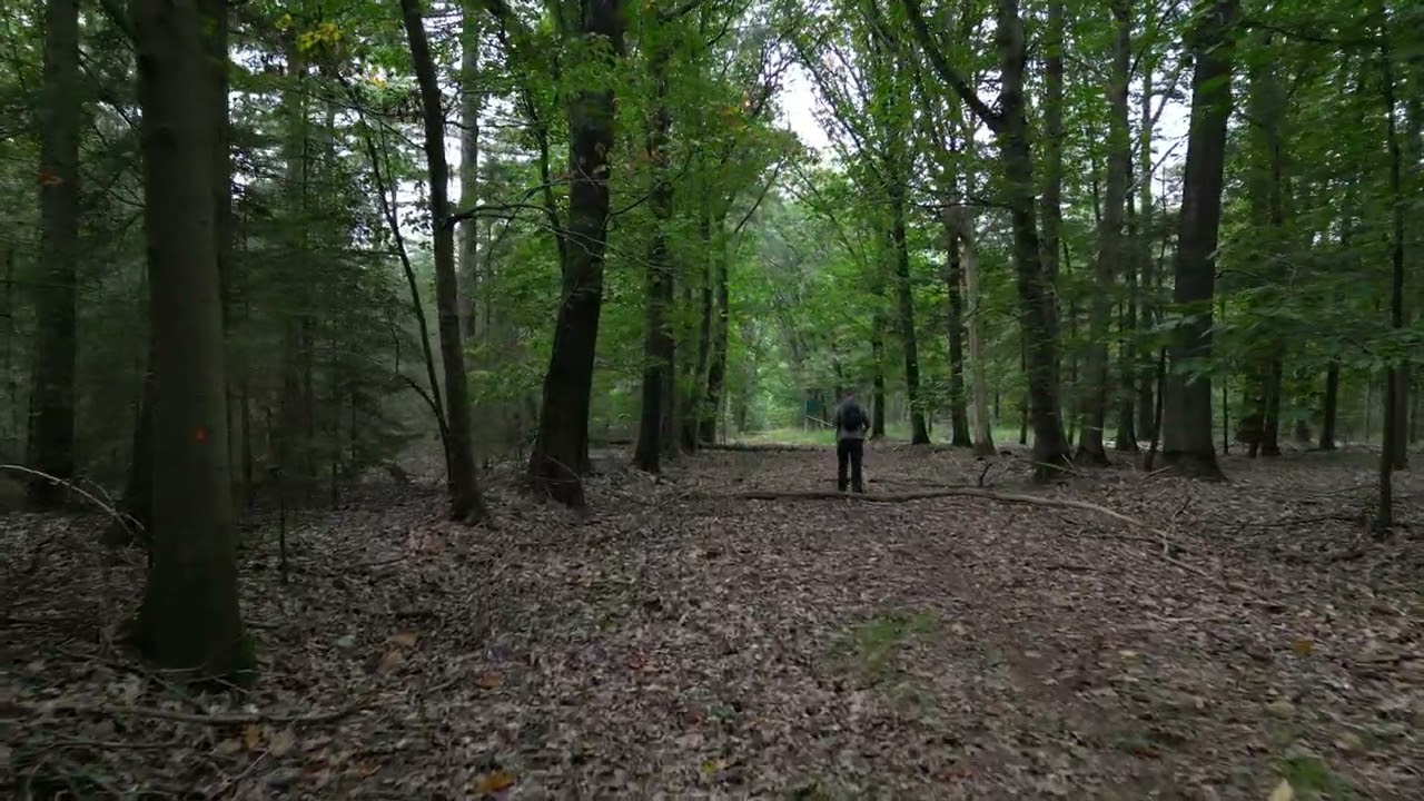 Ravels 11/10/2023, No filters or post processing but straight video footage from the drone..