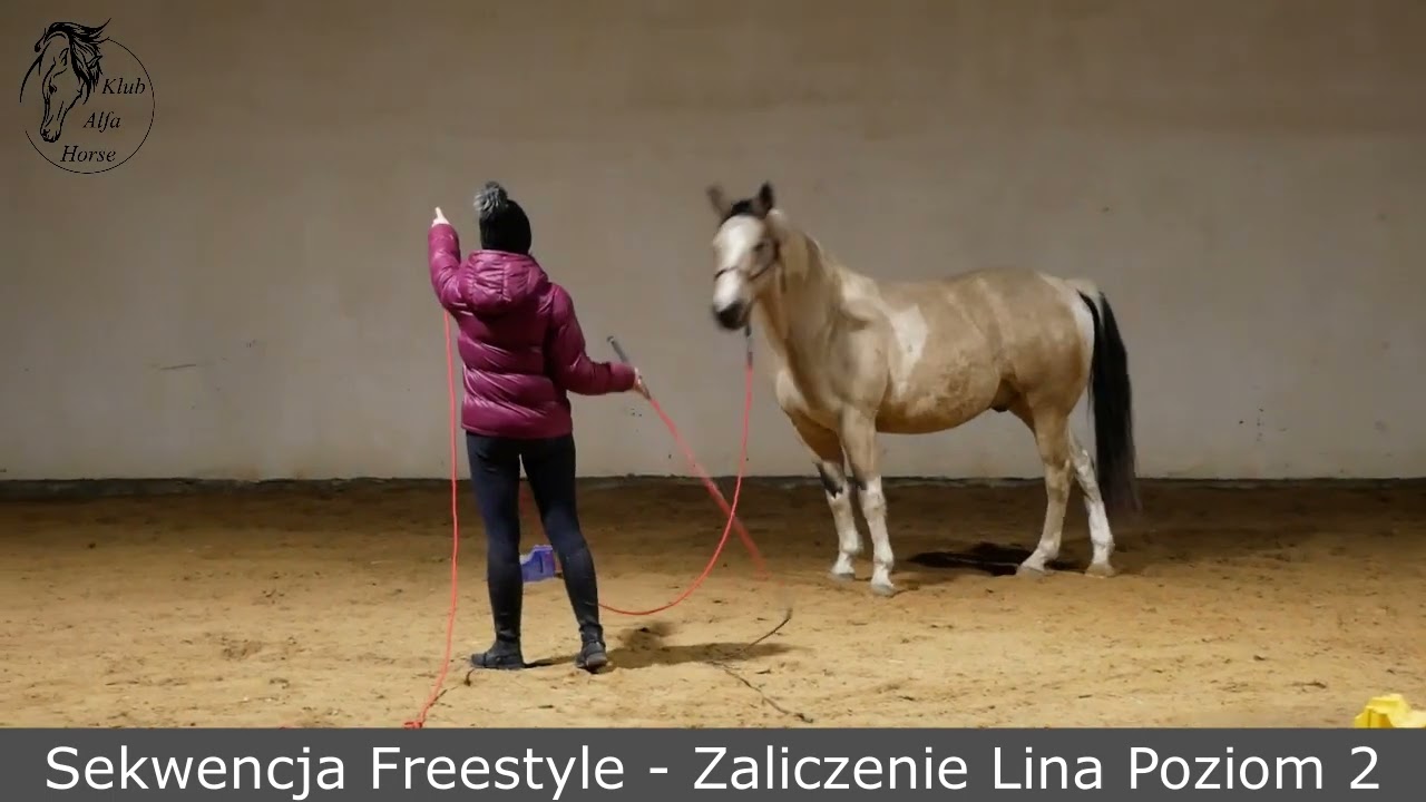 Sekwencja Freestyle: Praca na Linie Poziom 2 AH