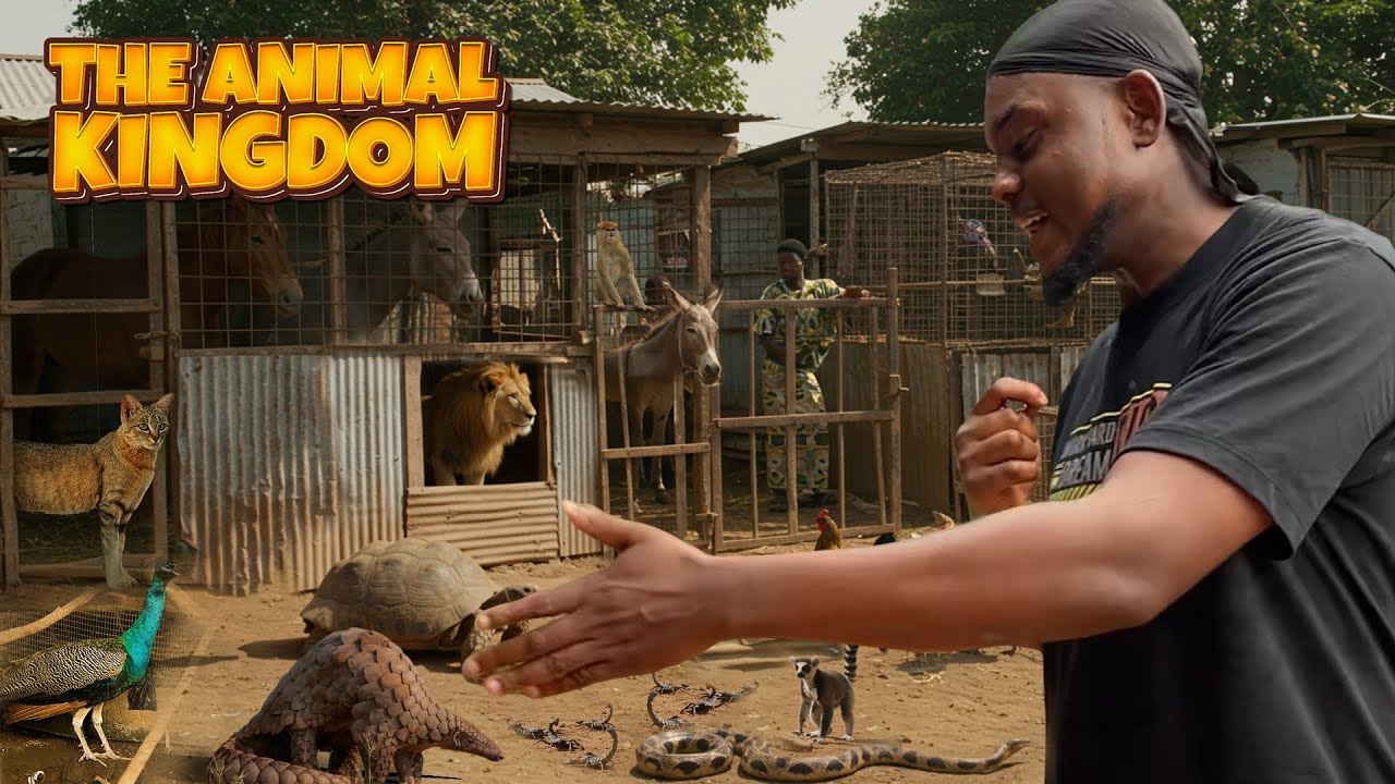 Shocking Village in Ghana Where Animals and Humans Live Together