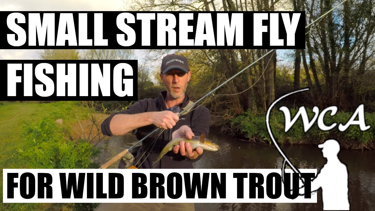 Dry Fly Fishing Small Streams for Wild Brown Trout - River Lowman, Tiverton