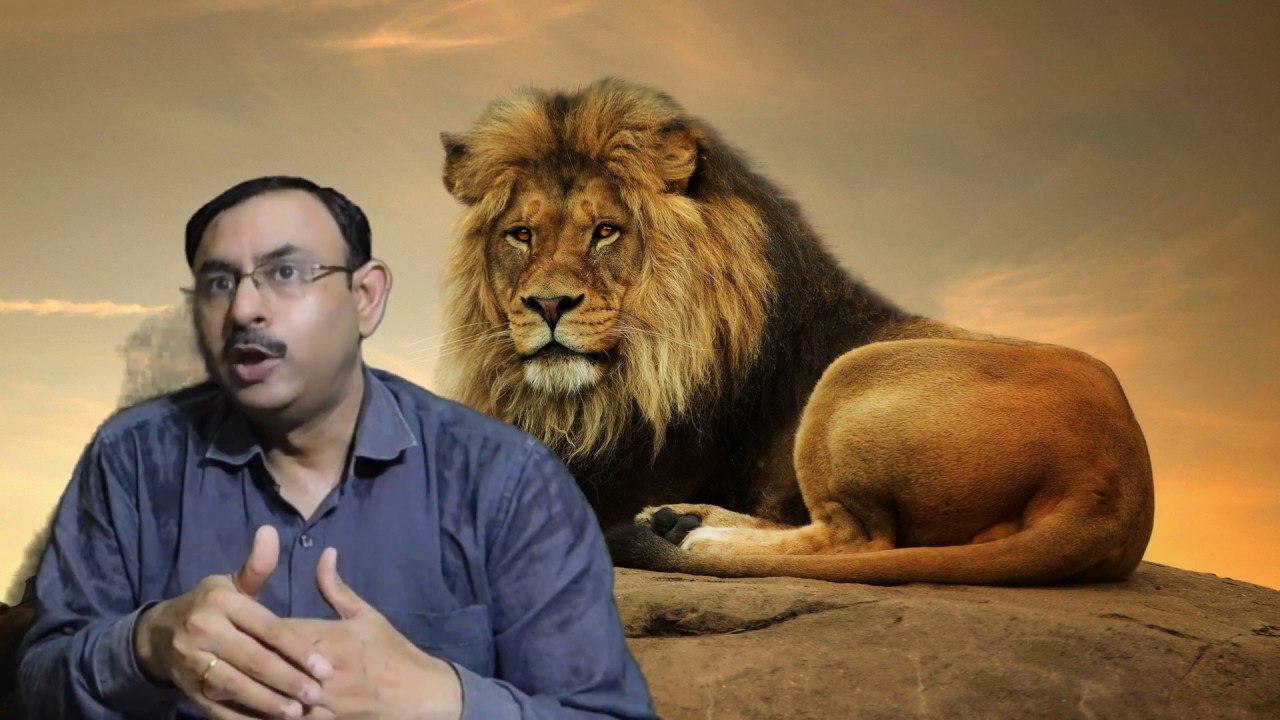 Tiger और Lion से जुड़े ख़ास FACT || LION vs Tiger || Dr Nagender Yadav