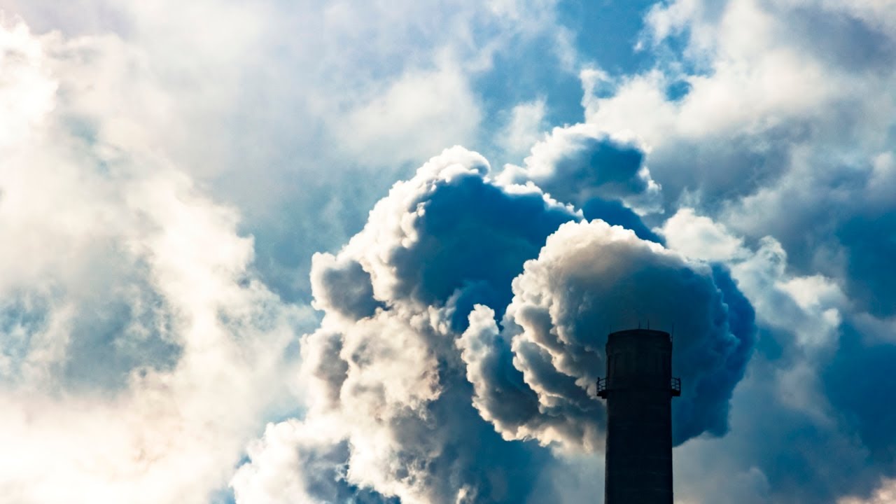 Auckland's new climate tax is 'utterly insane'