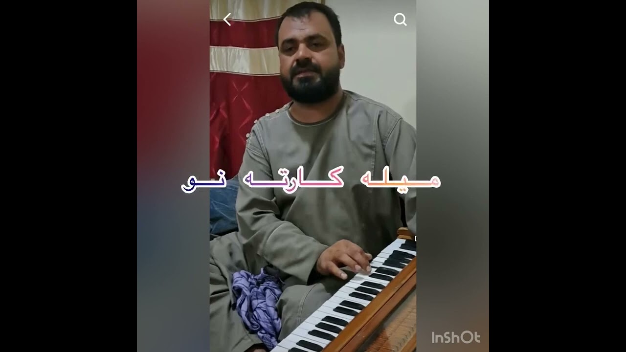 قیس  امیری فیصل نظری