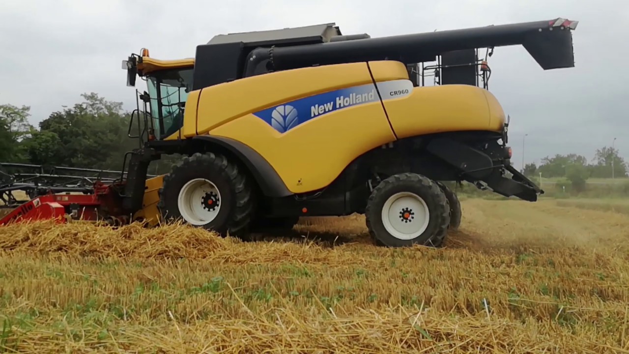 Wheat harvesting | New holland cr 960 + capello gs 600 evo
