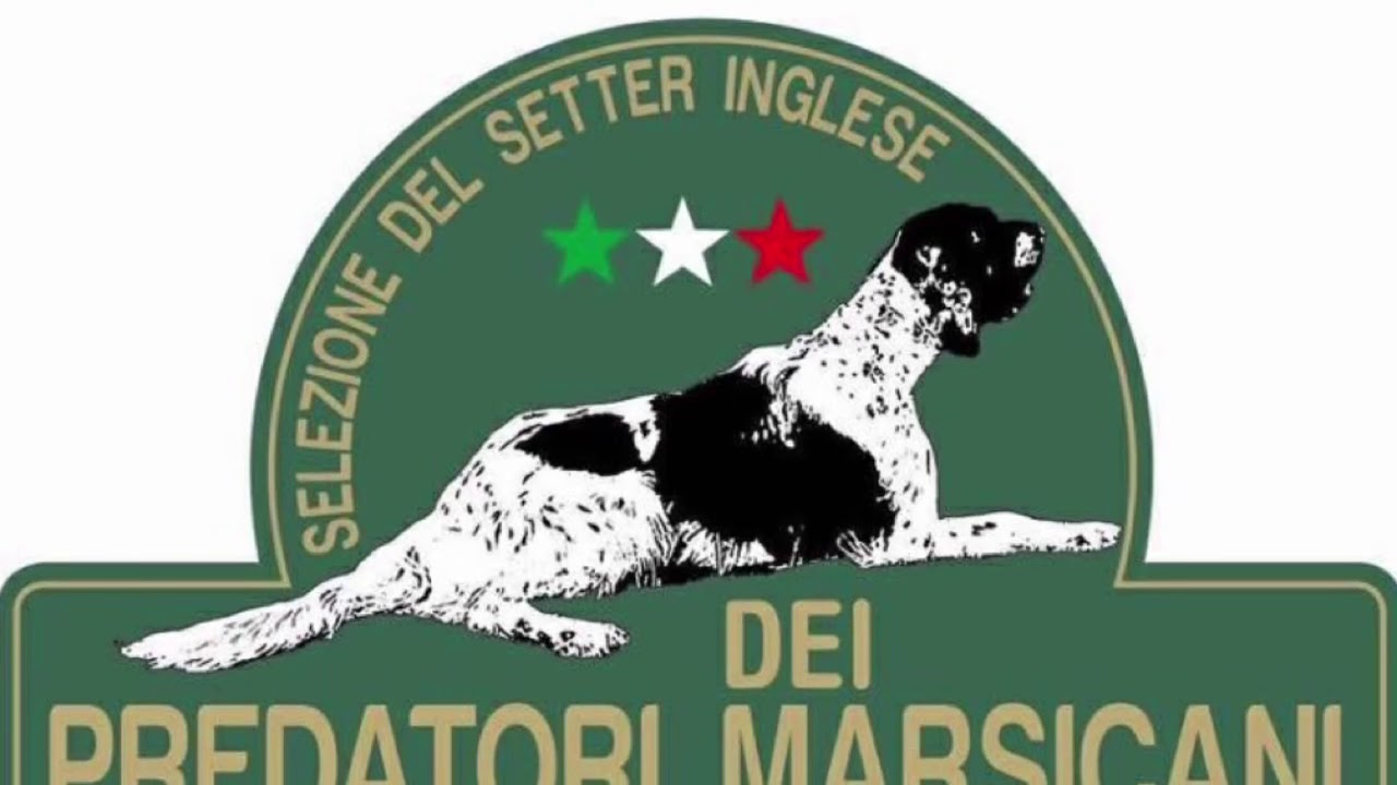 Beatyful dei predatori marsicani