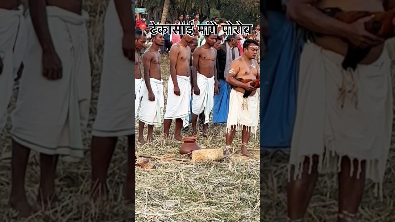 टेकासाई मांगे पोरोब 2025 #hovlog #homundavlog #bestvideo #hovlogs