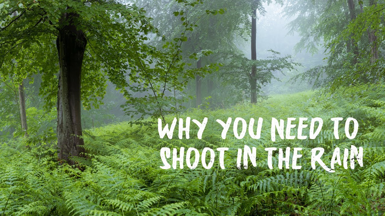 Why You NEED To Shoot In The Rain: LANDSCAPE PHOTOGRAPHY