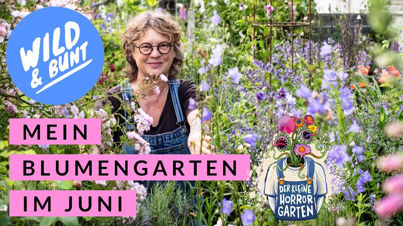 Rundgang Blumengarten im Juni mit Cottage-Garten Feeling I der kleine Horrorgarten